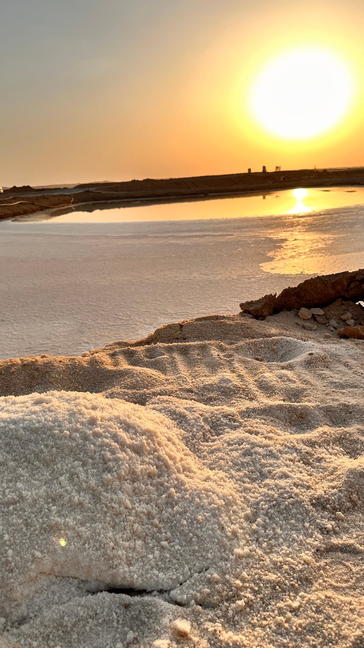 زيارة مدينة الذهب الأبيض.. القصب