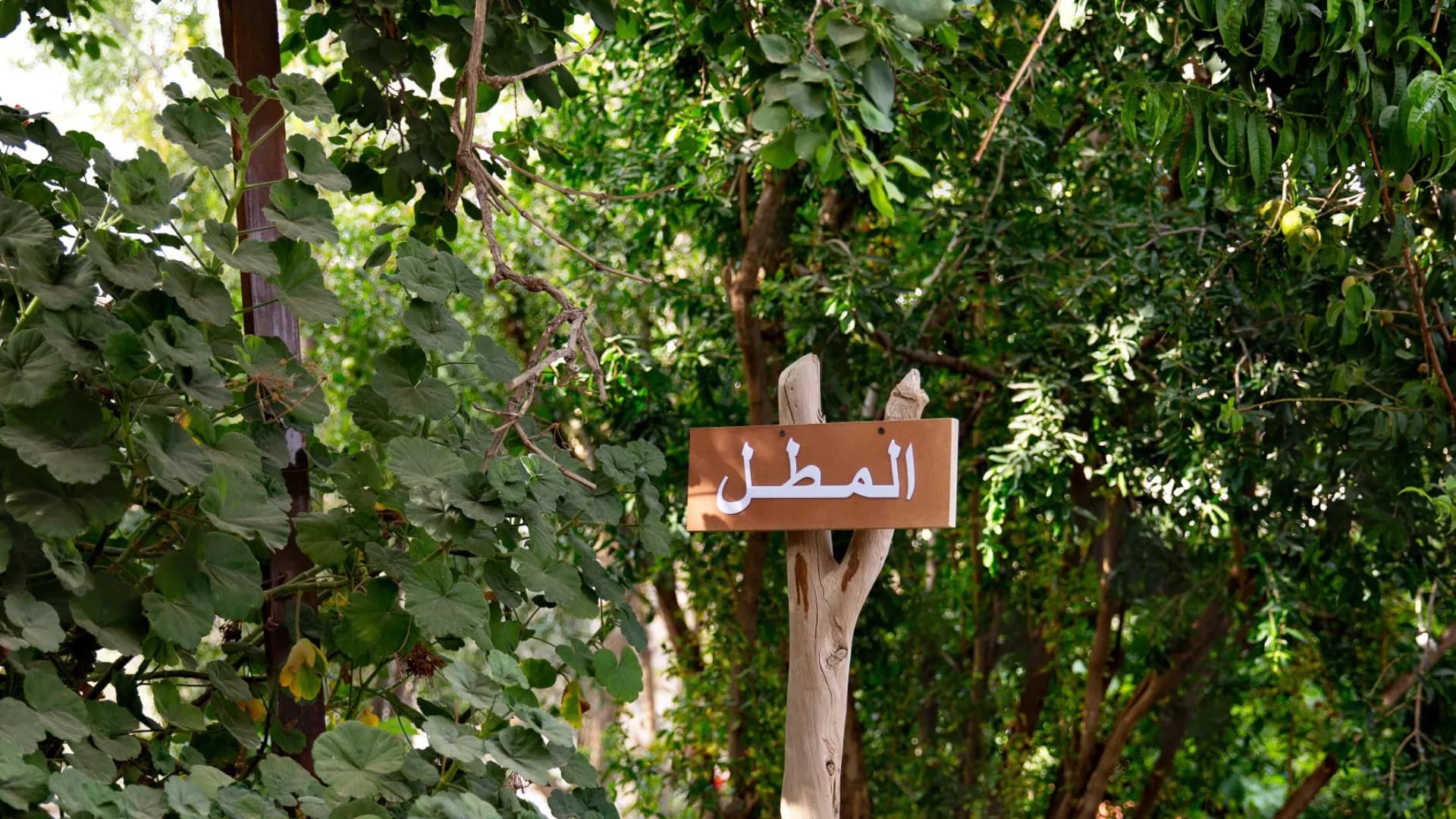 عسير: زيارة مزرعة الليوان مع نقل